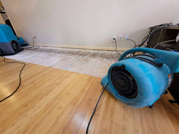 Professional Ceiling Water Damage Repair technician working in Hills, MN